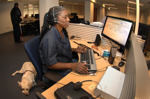 A blind woman behind a computer wearing a headset, her seeing-eye dog resting in the background